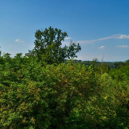 Cascina Dei Cisi Valfenera