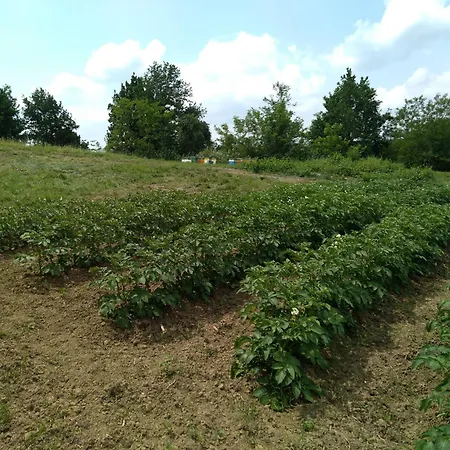 Cascina Dei Cisi * Valfenera